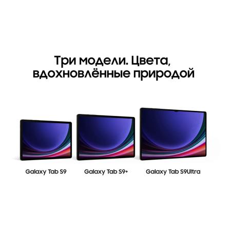 Samsung Galaxy Tab S9 Ultra 14,6" 5G+Wi-Fi 16/1Tb Beige, бежевый