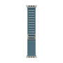 Apple Watch Ultra 3 (2025), 49 мм корпус из титана цвета «Natural», ремешок Alpine Loop размера L цвета «Light Blue» Apple Watch Ultra 3 (2025), 49 мм корпус из титана цвета «Natural», ремешок Alpine Loop размера L цвета «Light Blue»